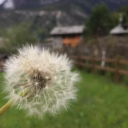 Διαμέρισμα Lo Queur Di Mont Blanc Pré-Saint-Didier