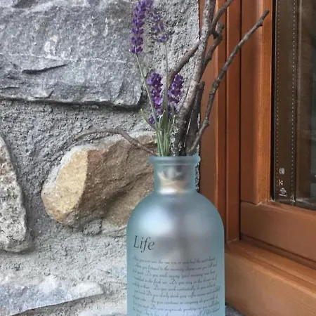 Διαμέρισμα Lo Queur Di Mont Blanc Pré-Saint-Didier
