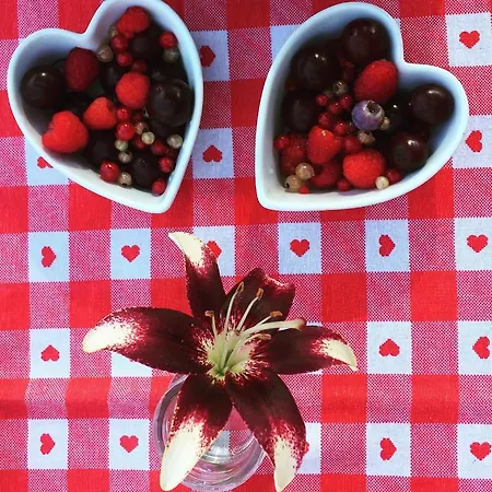 Διαμέρισμα Lo Queur Di Mont Blanc